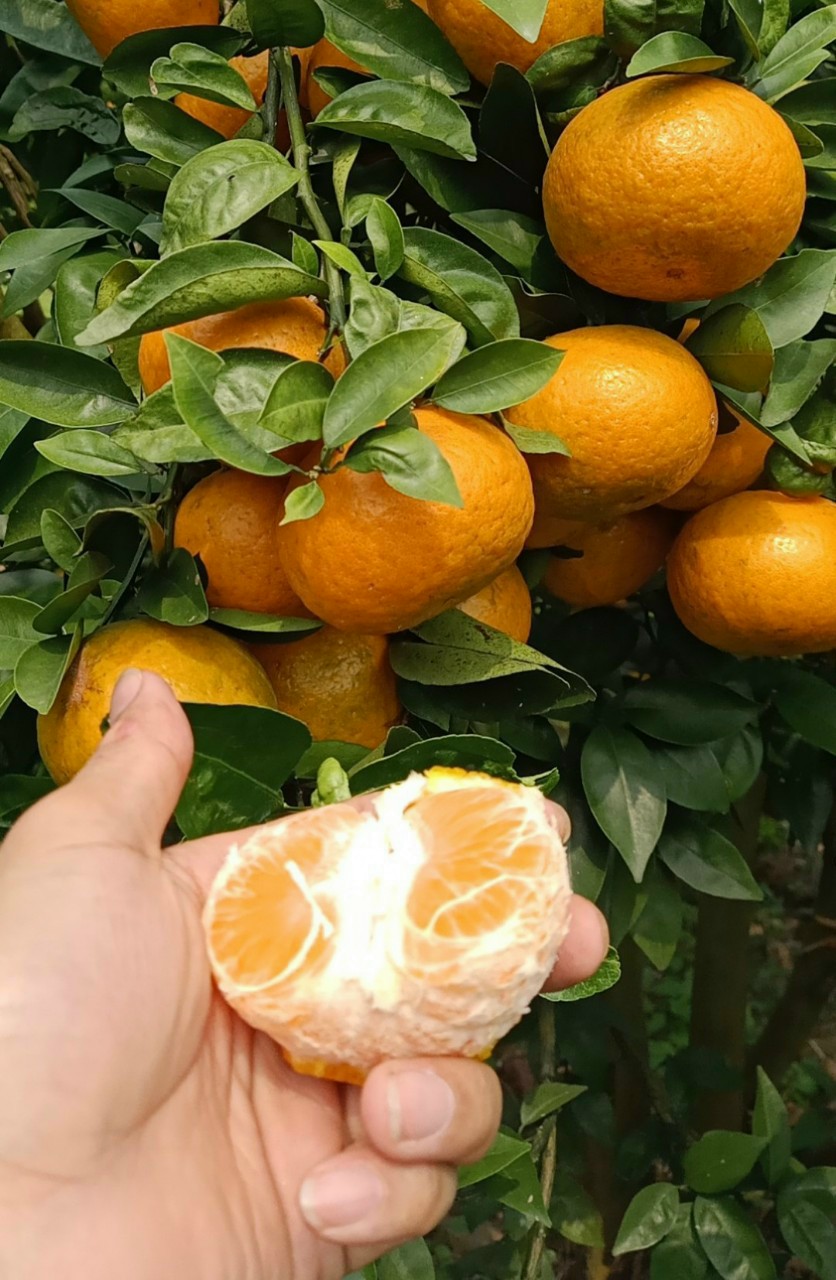 z3665060227251_dcd54cbb9f10f64f56ac6586eed1a08f